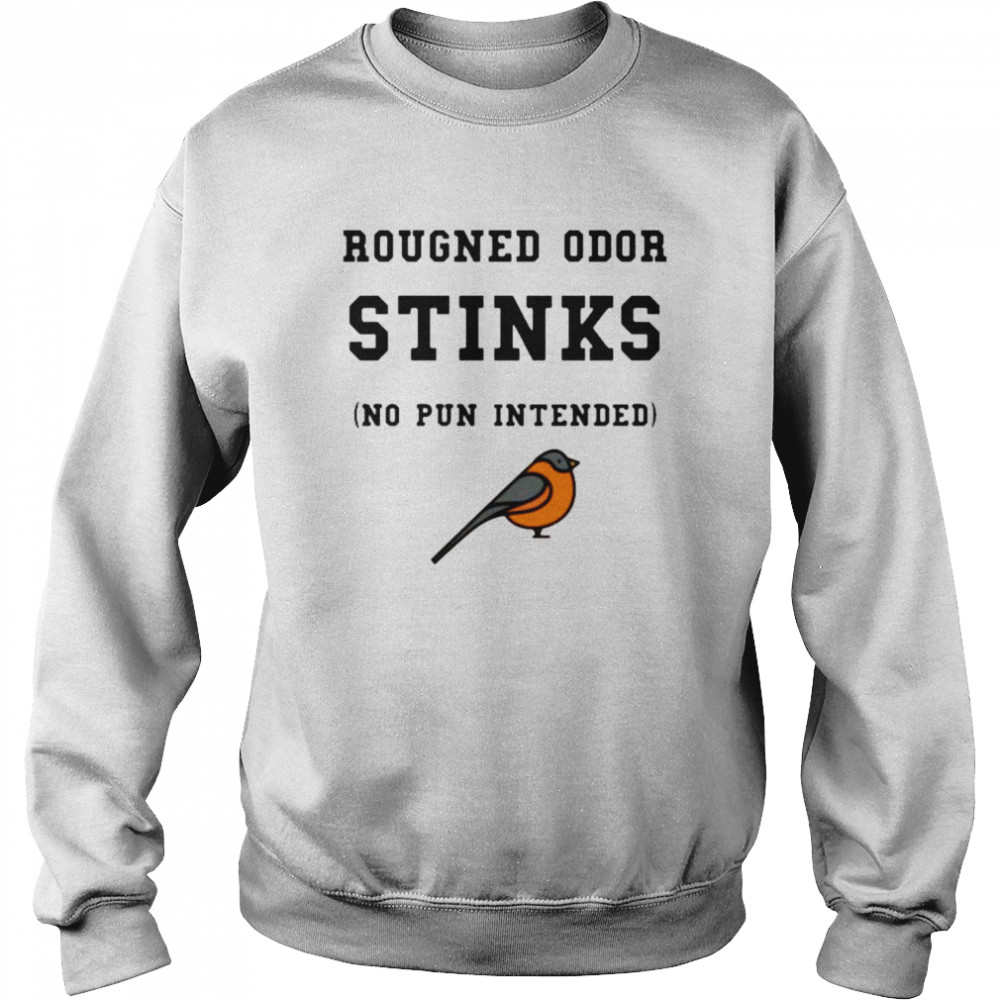 Baltimore Orioles Rougned Odor Stinks No Pun Intended Shirt Unisex Sweatshirt