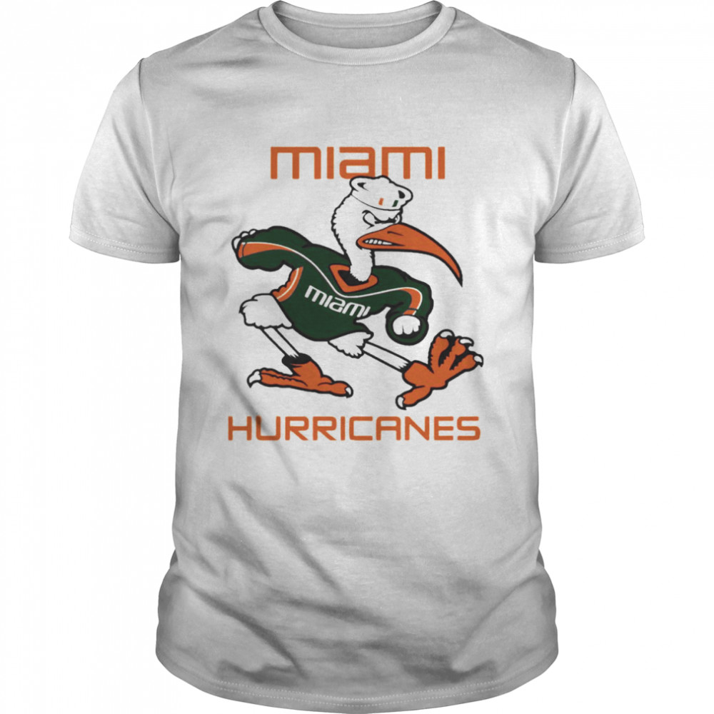 Ducks Miami Hurricanes shirt