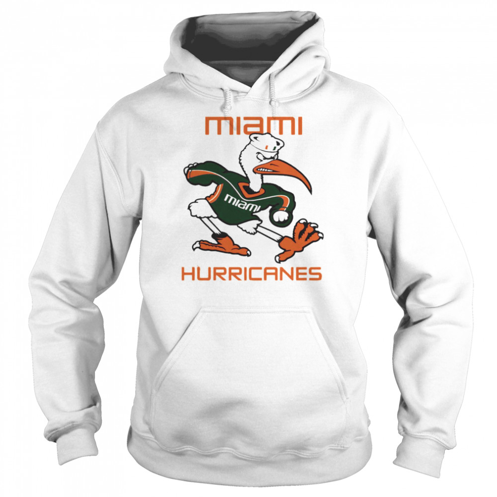 Ducks Miami Hurricanes Shirt Unisex Hoodie
