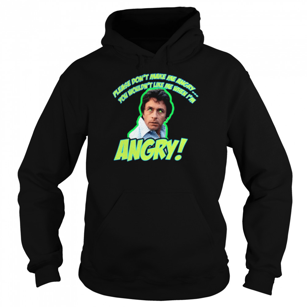 Please Dont Make Me Angry Shirt Unisex Hoodie