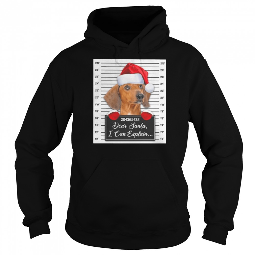 santa red dachshund dear santa i can explain 2022 christmas shirt unisex hoodie