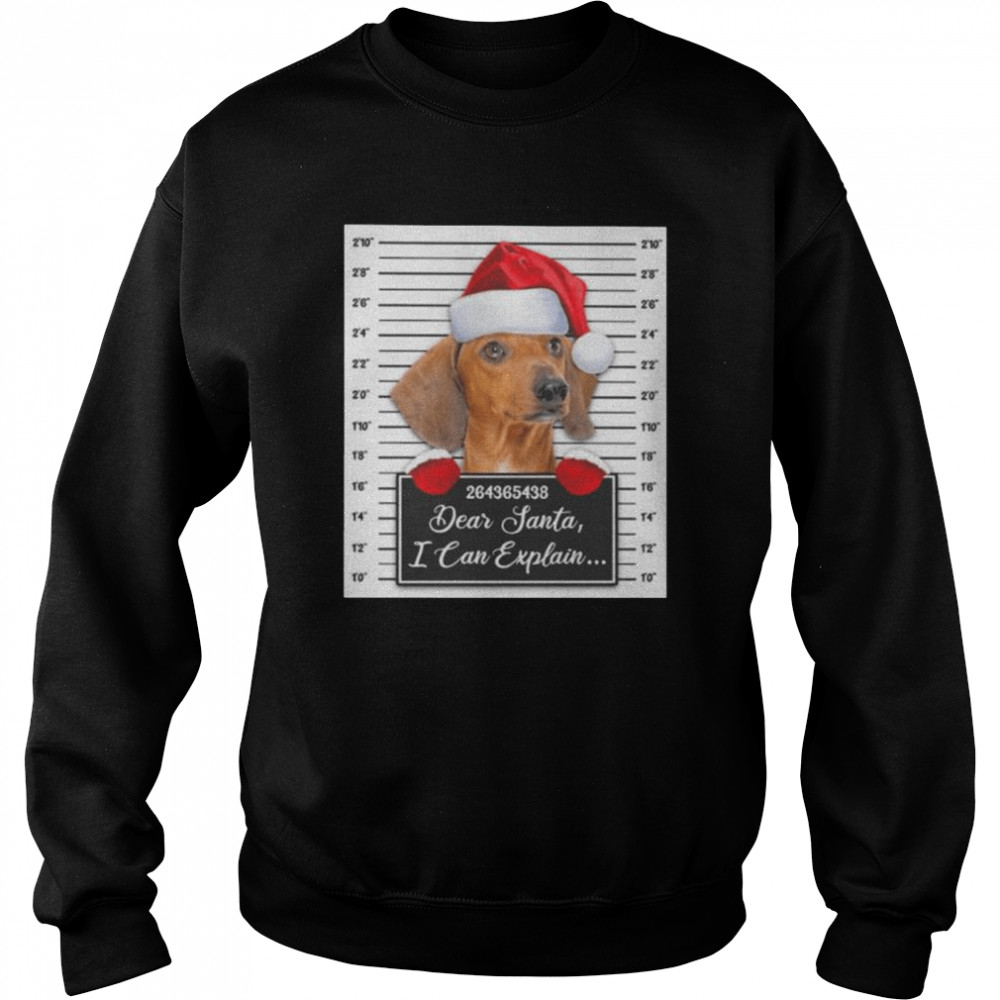 Santa Red Dachshund dear santa I can explain 2022 Christmas shirt Unisex Sweatshirt