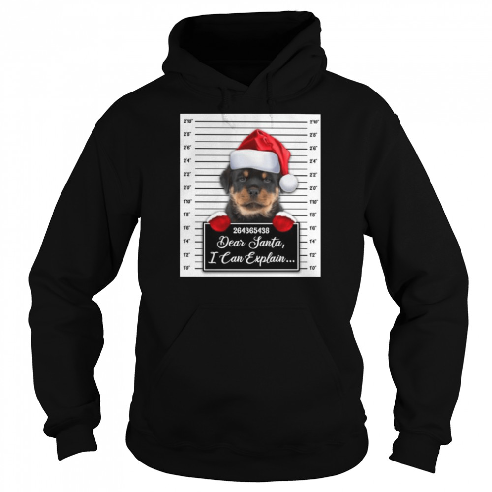 santa rottweiler dear santa i can explain 2022 christmas shirt unisex hoodie